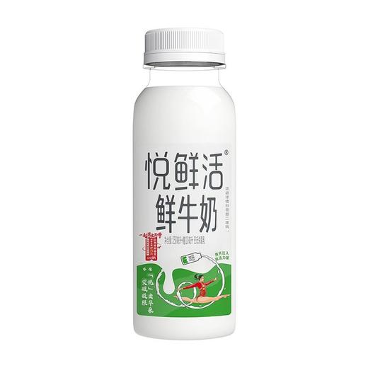 君乐宝250ml悦鲜活鲜牛奶 商品图5