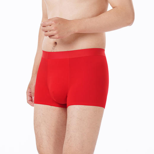 都市丽人都市锋尚内裤简约基础平角裤40S人棉男士内裤FKTCH6 商品图2