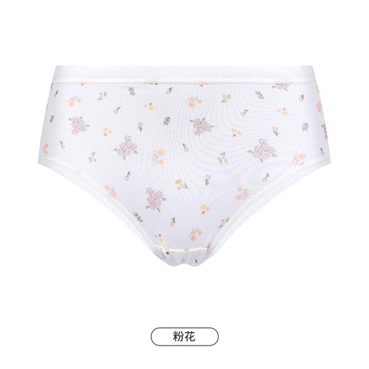 都市丽人内裤舒肤棉平角裤40/20纯棉女士内裤LKT5T9 商品图1
