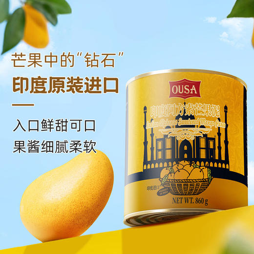 欧萨印度阿方索芒果泥860g 商品图1