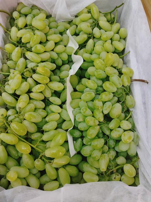 维多利亚青提2斤 商品图0