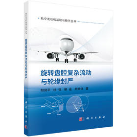 旋转盘腔复杂流动与轮缘封严