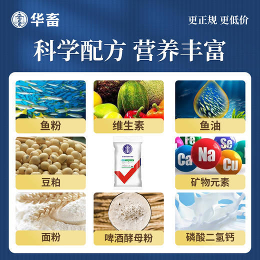 【整吨联系客服】华畜小龙虾饲料补钙粮虾养殖膨化颗粒蛋白鳌养河蟹螃蟹料专用饲料 商品图2