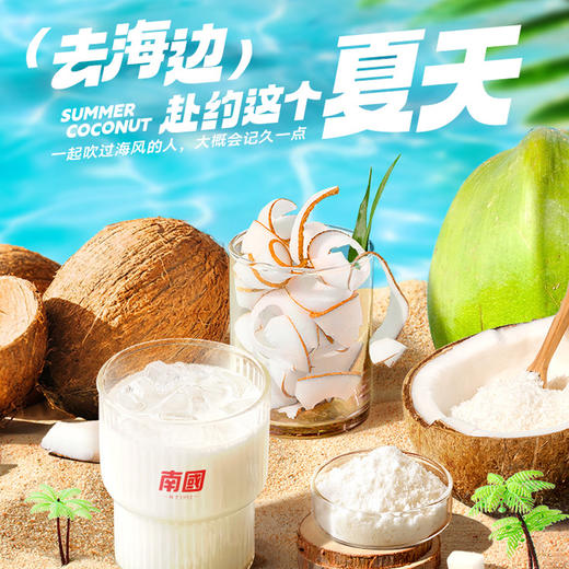 【南国食品】 醇香椰子粉450g 商品图3
