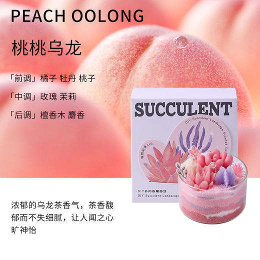 【多肉植物沙画香薰蜡烛】diy创意手工材料包 礼物伴手礼 桌面摆件送老师朋友客户家人 商品图9