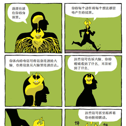 《这就是物理》升级新版（全10册） 商品图14