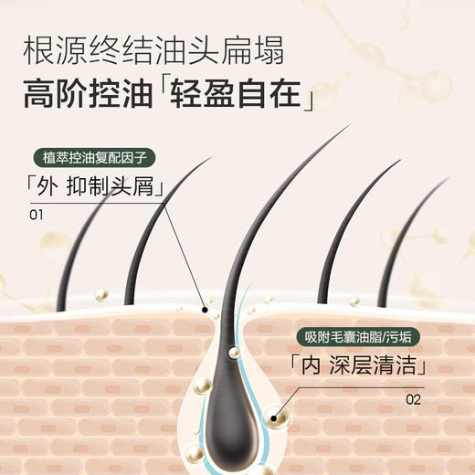 【自营】森之露（Seagilon）蓬松控油止痒洗发露 520ml 商品图2