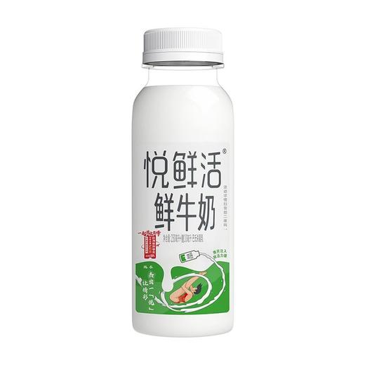 君乐宝250ml悦鲜活鲜牛奶 商品图6