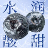 【颗颗饱满！蓝莓干蜜饯】甄选优质原料，整颗轻烘，保留鲜果风味营养，8斤蓝莓约等于1斤蓝莓干，下午茶休闲零食小吃L 商品缩略图3