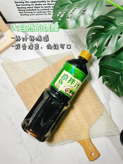 到手2大瓶！拯救水煮菜的秘密武器！原价1瓶24.9元~【山东老字号·食圣凉拌汁】0脂低卡高蛋白，饱腹感很强！拌沙拉、魔芋、荞麦面、蘸鸡蛋直接开整~ 商品图1