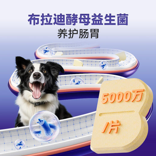 【U+系列】MAG每日维B 狗狗改善异食癖防吃草犬用天然维生素B 养护皮毛150片 商品图5