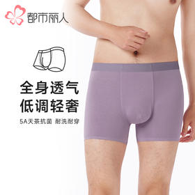 都市丽人都市锋尚内裤简约基础平角裤50S人棉抽针男士内裤FKTHC1