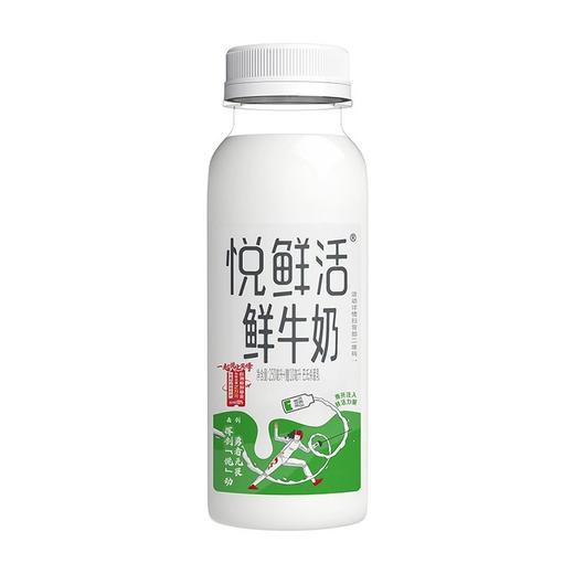 君乐宝250ml悦鲜活鲜牛奶 商品图4