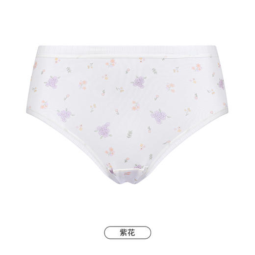 都市丽人内裤舒肤棉平角裤40/20纯棉女士内裤LKT5T9 商品图4