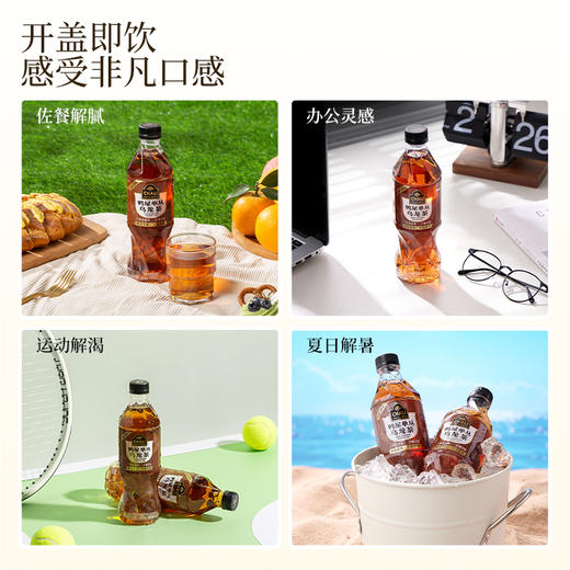 【89元任选2箱】CHALI 鸭屎单丛乌龙茶无糖茶饮料500ml 15瓶/箱 商品图4