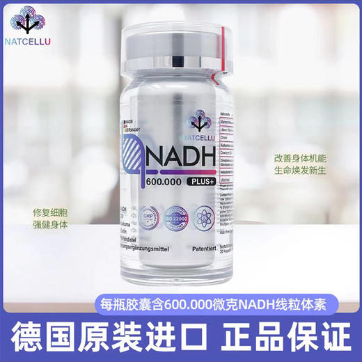 德国NATCELLU线粒体素600.000微克NADH好睡眠补 NAD+30粒 商品图1