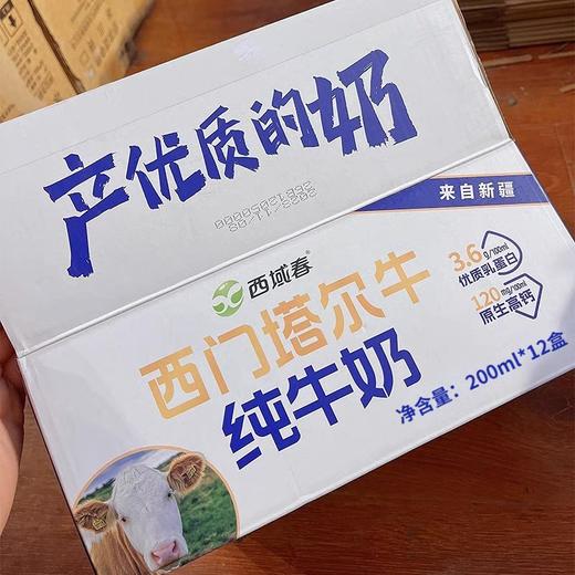 预售一星期到货西域春西门塔尔牛纯牛奶 3.6g优质蛋白 120g原生高钙 商品图0
