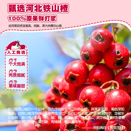 【益生元山楂棒棒糕】鲜果打浆酸酸甜甜 商品图2