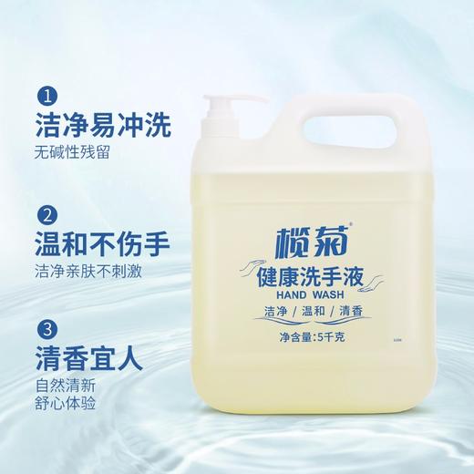 榄菊洗手液大桶装5kg带泵头补充装 温和洁净护手不刺激家庭酒店餐厅 商品图1