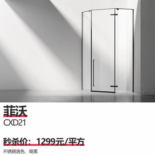 菲沃  CXD21 ，颜色：不锈钢洛色.哑黑 商品图0