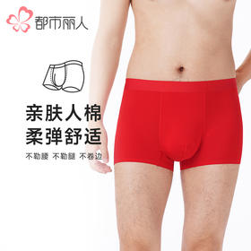 都市丽人都市锋尚内裤简约基础平角裤40S人棉男士内裤FKTCH6