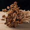 山鸿牌茶树菇150克 商品缩略图2