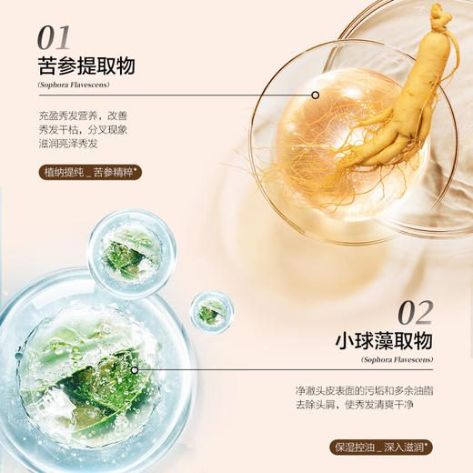 【自营】森之露（Seagilon）清爽去屑洗发水 520ml 商品图2