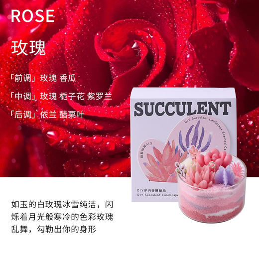 【多肉植物沙画香薰蜡烛】diy创意手工材料包 礼物伴手礼 桌面摆件送老师朋友客户家人 商品图8