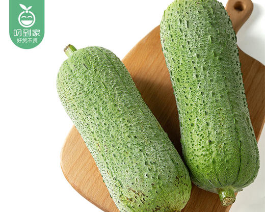 漳州新鲜肉丝瓜（750g±100g/份） 商品图2