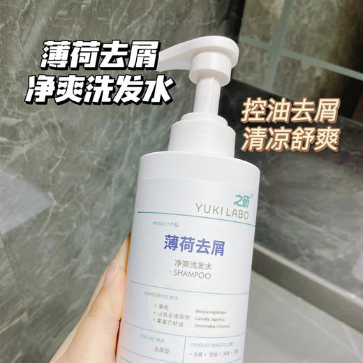 【告别细软塌，头发更丰盈！】YUKILABO之研 洗发水系列  生姜蓬松330ml+薄荷去屑300ml+西草防脱300ml 植物配方，防脱固发，持久控油，去屑止痒，强韧发丝 商品图6