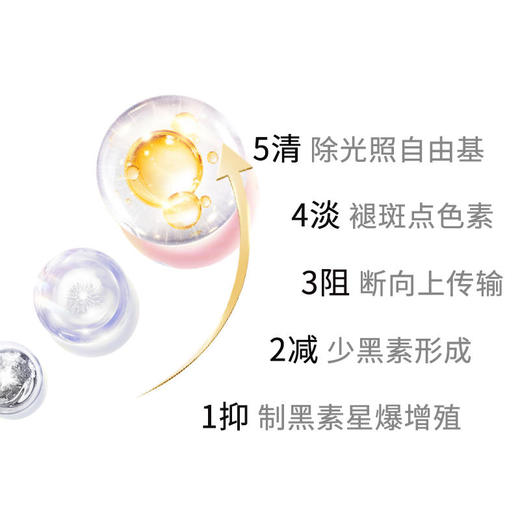 【宁波保税仓直发】EMBRACE美白神经酰胺ASTAPLUS60粒 商品图3