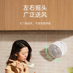 小熊（Bear）风扇电风扇壁扇壁挂风扇挂壁电风扇空气循环扇电扇风扇大风量卧室办公室扇 【壁挂有线款】DFS-T05W1