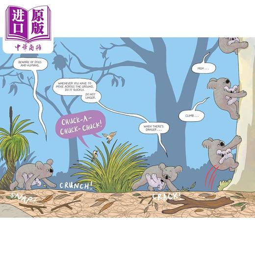 【中商原版】Surviving the Wild 桥梁漫画 动物野外生存图画小说3册 Rainbow the Koala Star the Elephant Sunny the Shark 商品图2