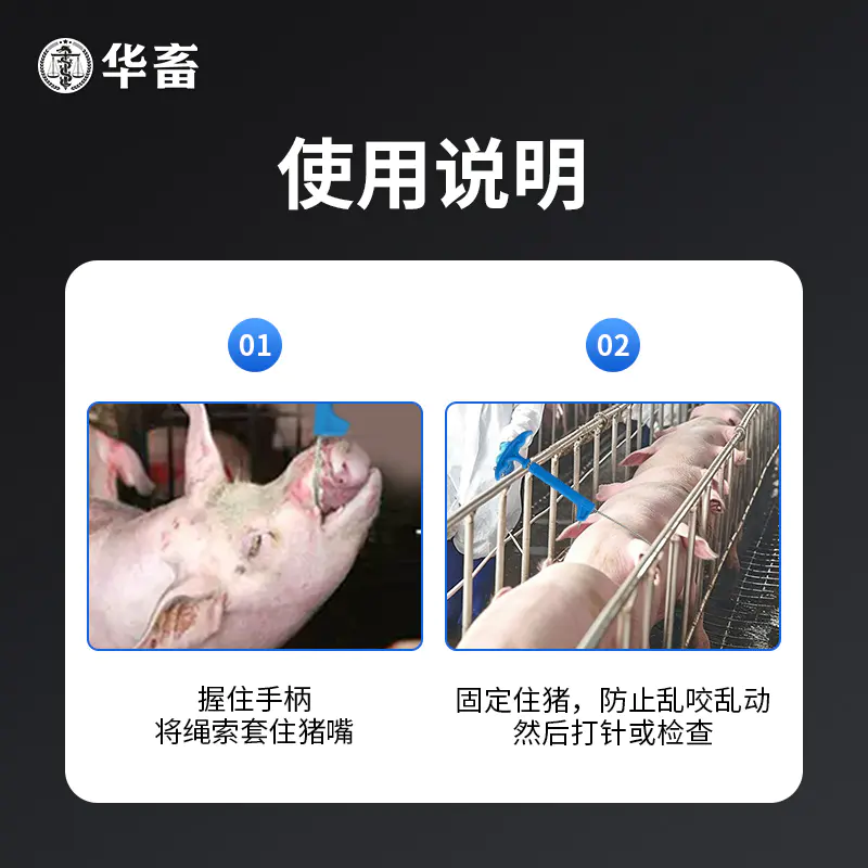 华畜猪用保定器金属套猪器拉猪绳猪套子兽用打针套猪嘴器抓猪神器