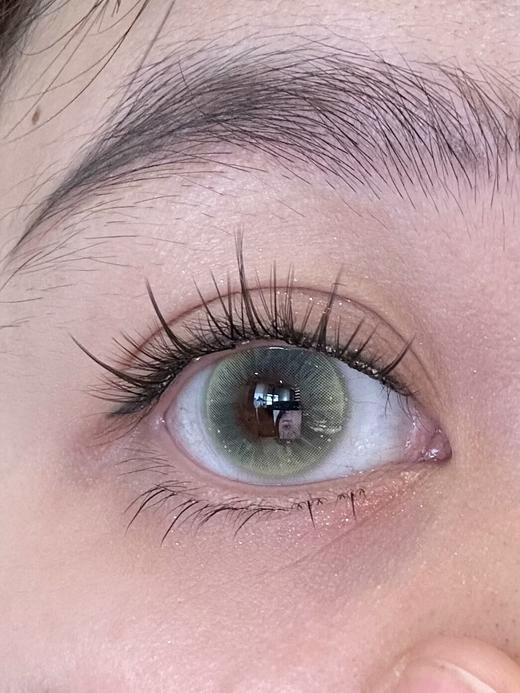 （清透色）太阳蛋菇/炫蓝蘑菇/青绿湿伞 半年抛 HUOHUOCON 商品图3