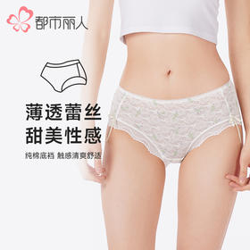都市丽人内裤薄透丝滑平角裤蕾丝提花女士内裤LKT5J4