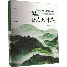 北回归线上的绿宝石 勐库大叶茶