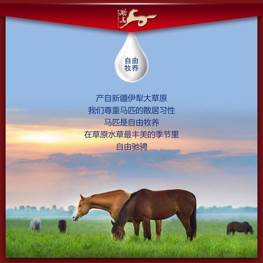 【预售】新疆伊犁源西域纯马奶粉无蔗糖青少年中老年纯马奶粉营养奶粉330g 商品图1