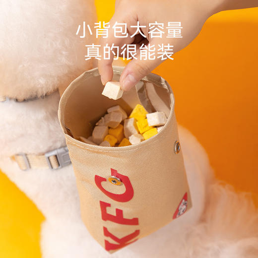 宠物自背包牵引绳 可爱外出狗狗比熊泰迪小型犬胸背款防挣脱牵引带 商品图2