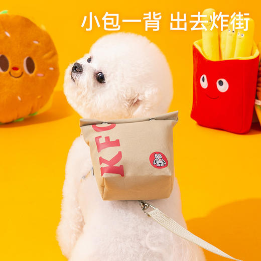 宠物自背包牵引绳 可爱外出狗狗比熊泰迪小型犬胸背款防挣脱牵引带 商品图0