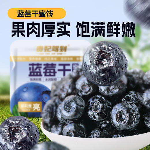 【颗颗饱满！蓝莓干蜜饯】甄选优质原料，整颗轻烘，保留鲜果风味营养，8斤蓝莓约等于1斤蓝莓干，下午茶休闲零食小吃L 商品图0