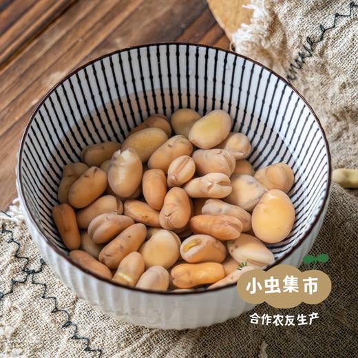 生态干蚕豆 500g/袋 | 合作农友生产，来自云南大理，生产者：谢雪梅 ＆【公平贸易农人定价】 商品图4