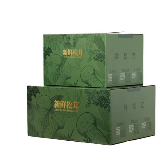 云南香格里拉·野生松茸 商品图6