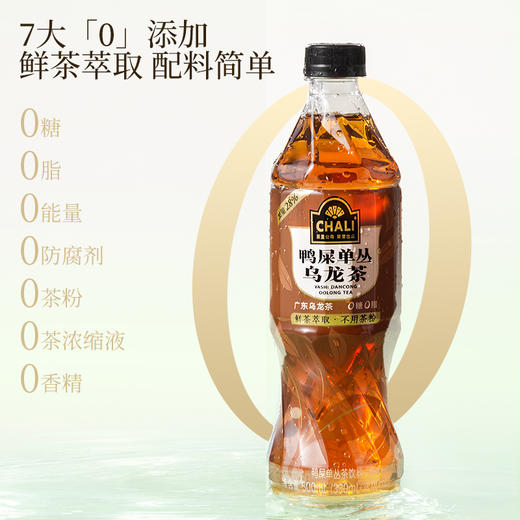 【89元任选2箱】CHALI 鸭屎单丛乌龙茶无糖茶饮料500ml 15瓶/箱 商品图3