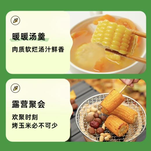 【免切省心装】黄金玉米段/白糯玉米段 8段 800g 商品图9