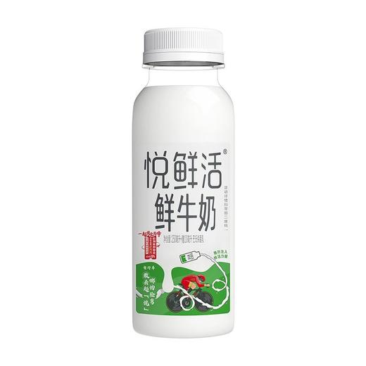 君乐宝250ml悦鲜活鲜牛奶 商品图8