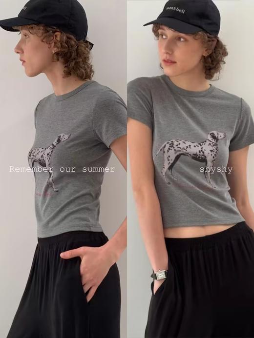 shyshystill/shy202404027/“斑点狗”棉质亲肤弹力印花短袖T恤 商品图1