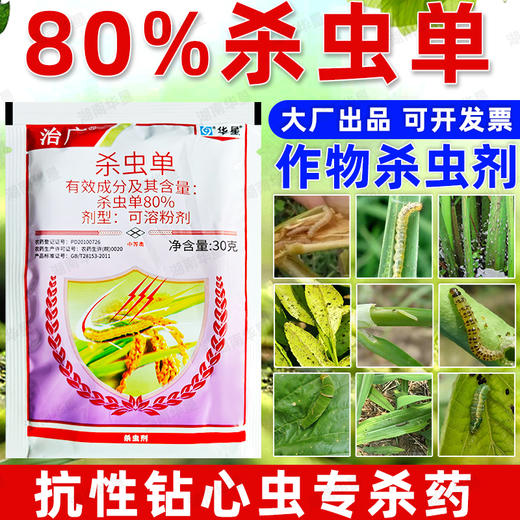 安徽华星大厂治广80%杀虫单水稻大田作物二化螟杀虫剂专用药正品 商品图2