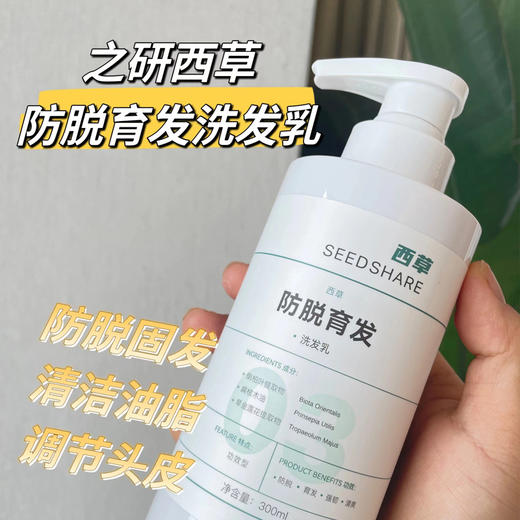 【告别细软塌，头发更丰盈！】YUKILABO之研 洗发水系列  生姜蓬松330ml+薄荷去屑300ml+西草防脱300ml 植物配方，防脱固发，持久控油，去屑止痒，强韧发丝 商品图9