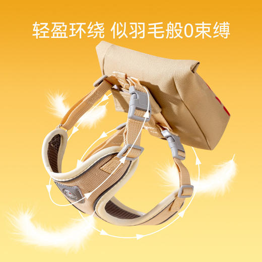 宠物自背包牵引绳 可爱外出狗狗比熊泰迪小型犬胸背款防挣脱牵引带 商品图3